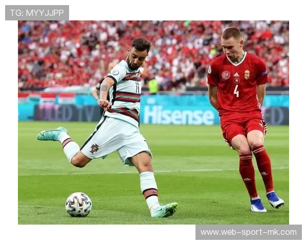 欧洲战术代表,奥地利需更加精细执行,奥地利战况 欧洲战术代表,奥地利需更加精细执行,奥地利战况